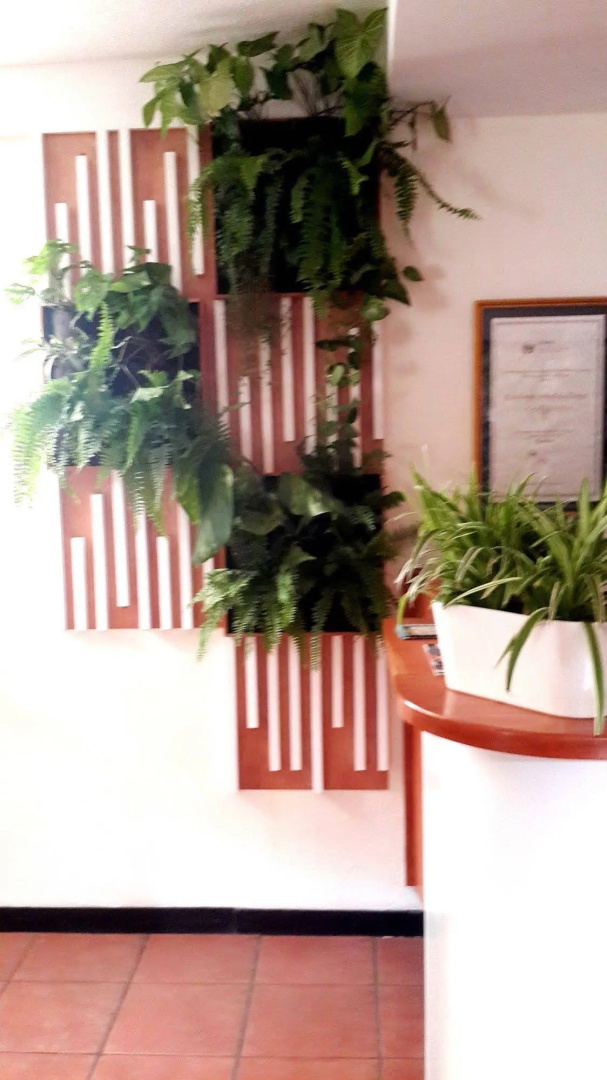Árbol de Fuego Eco-hotel, a green experience in the city