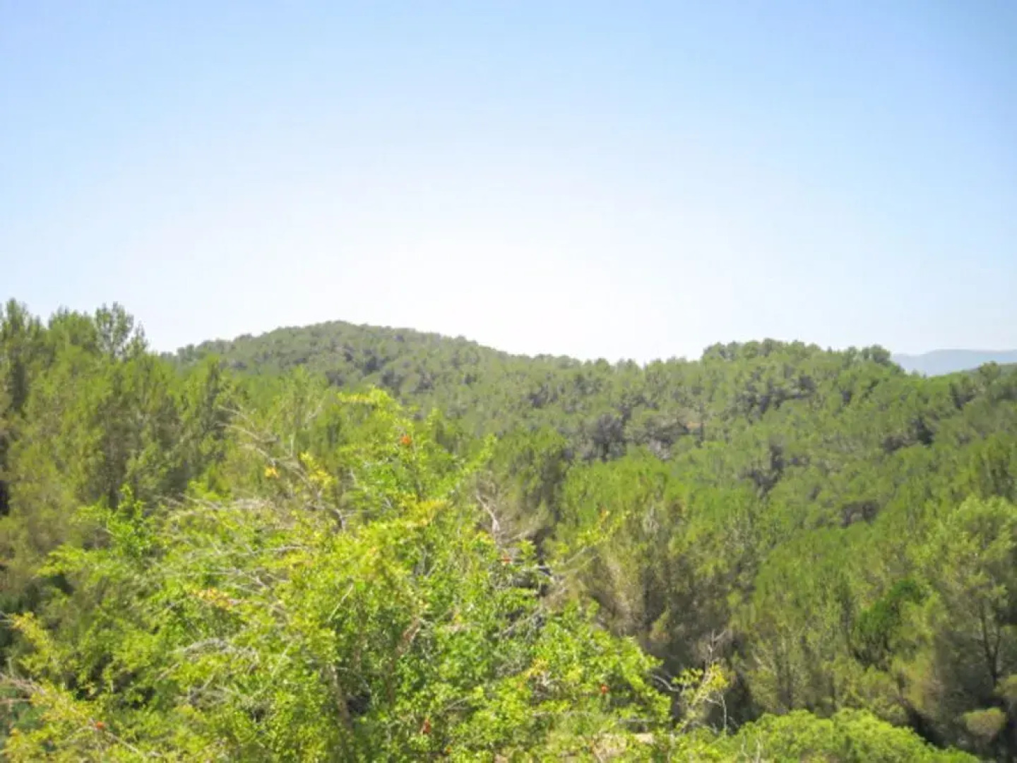 Sa Marina D'en Sopes