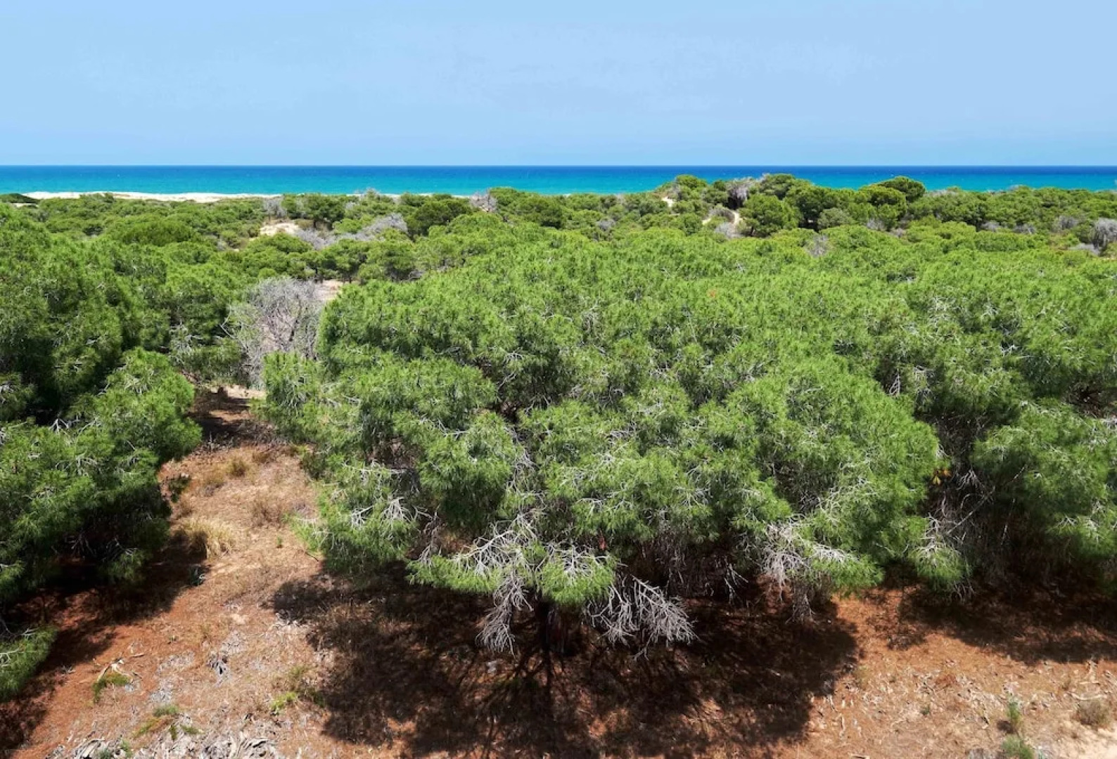 Sea view Apartment for 4