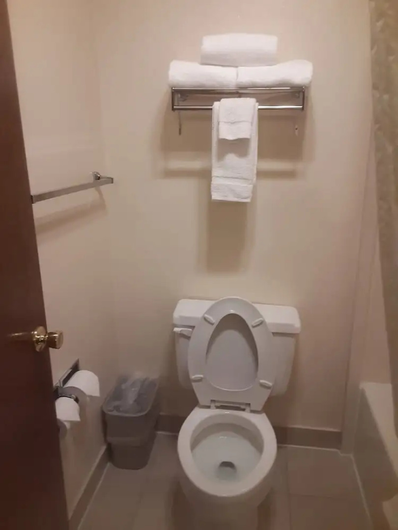 Rodeway Inn University