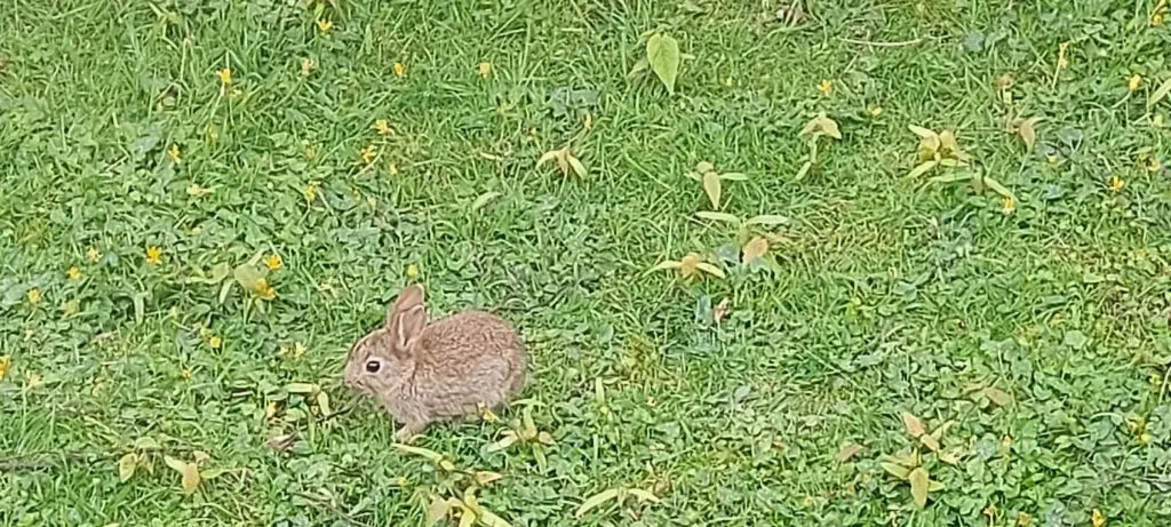 Westmorland 32 caravan
