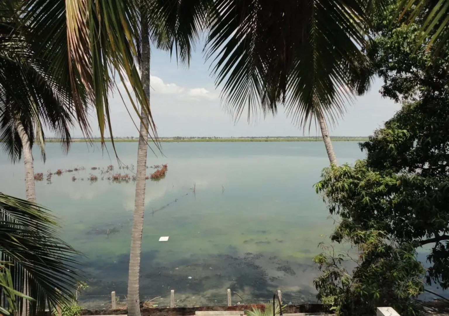 Sunnyfish Hotel & Resort