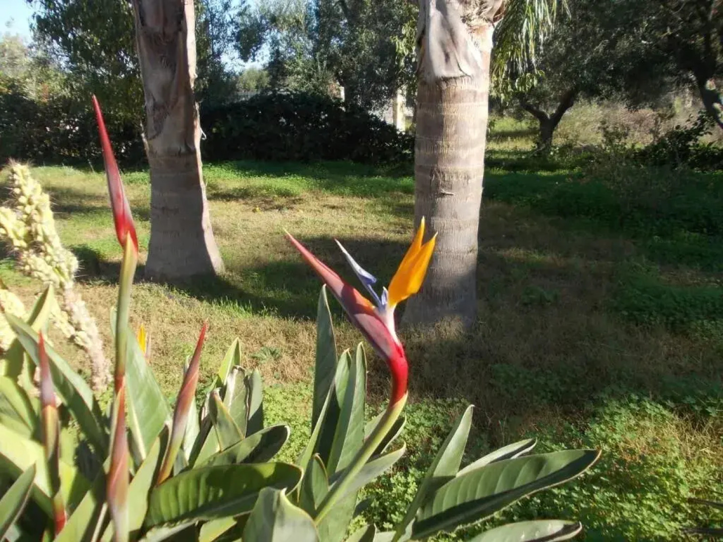 Verdeoliva Bed & Breakfast