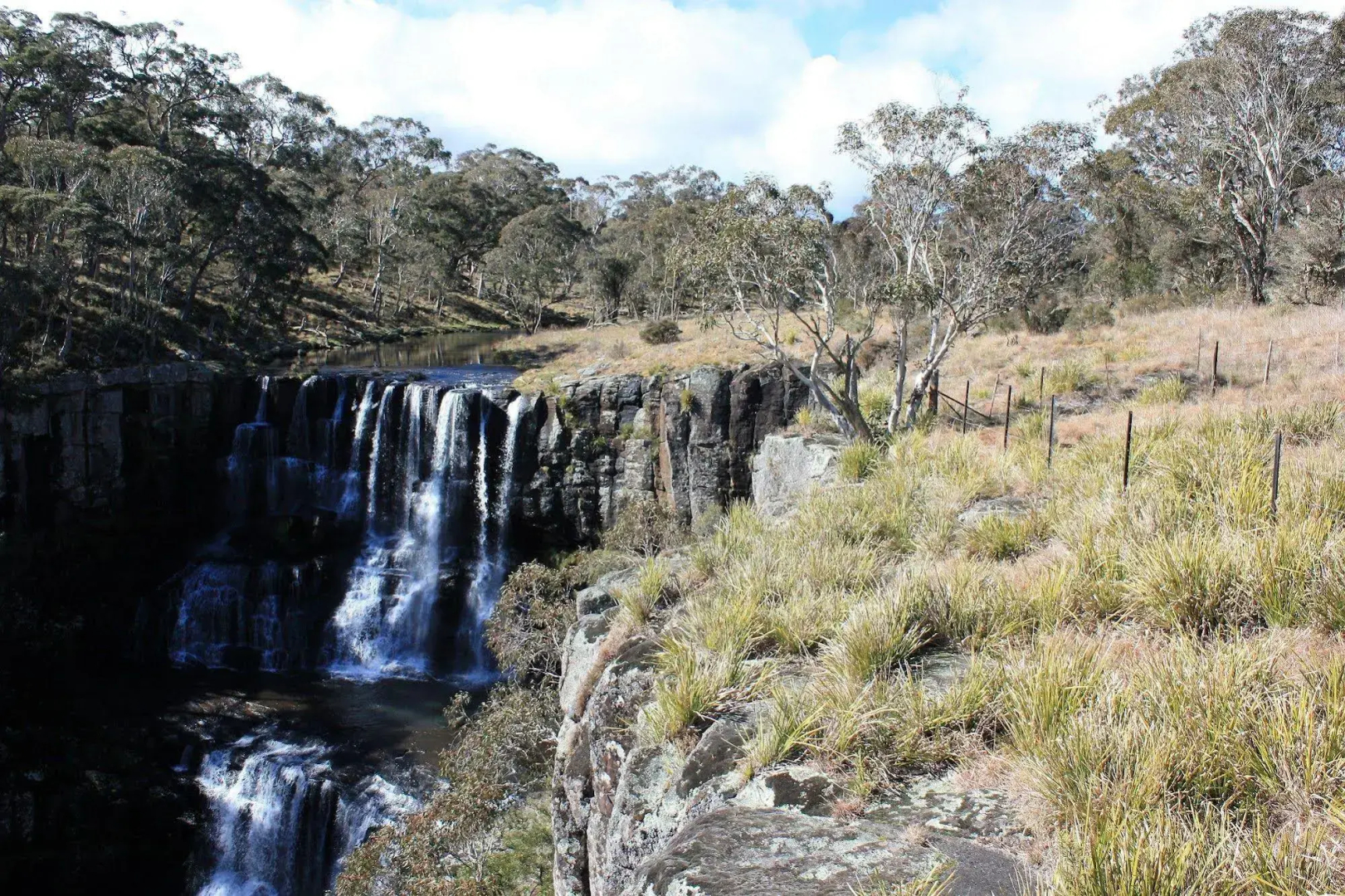 Waterfall Way Farmstay