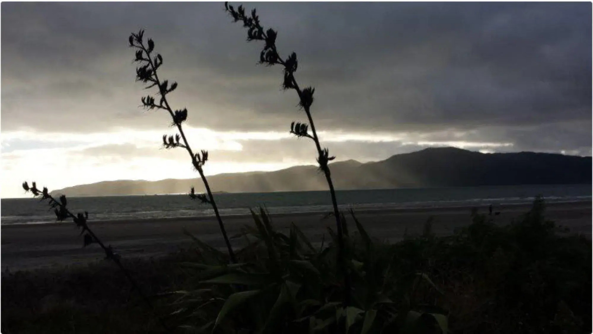 Wrights By The Sea Motel