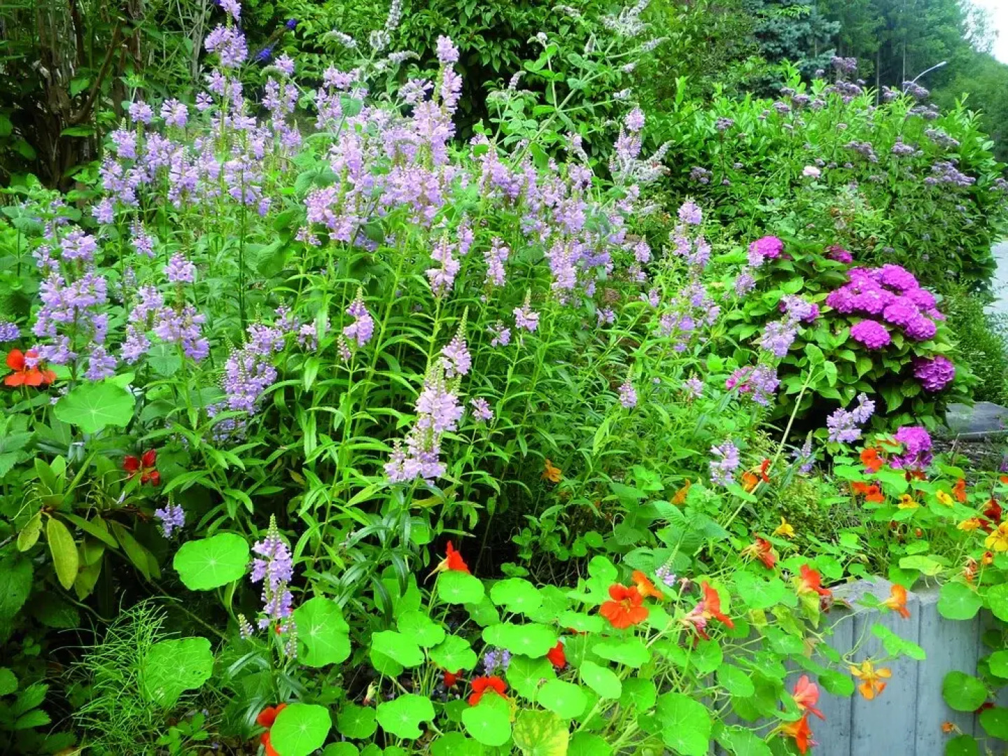 Hôtel Au Vieux Moulin