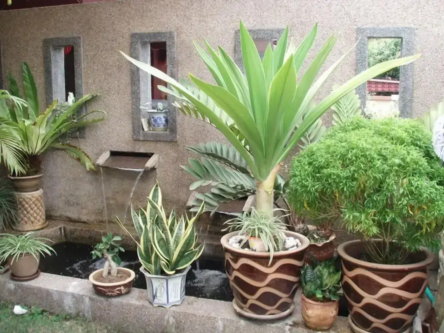 Garden Vacation Suite