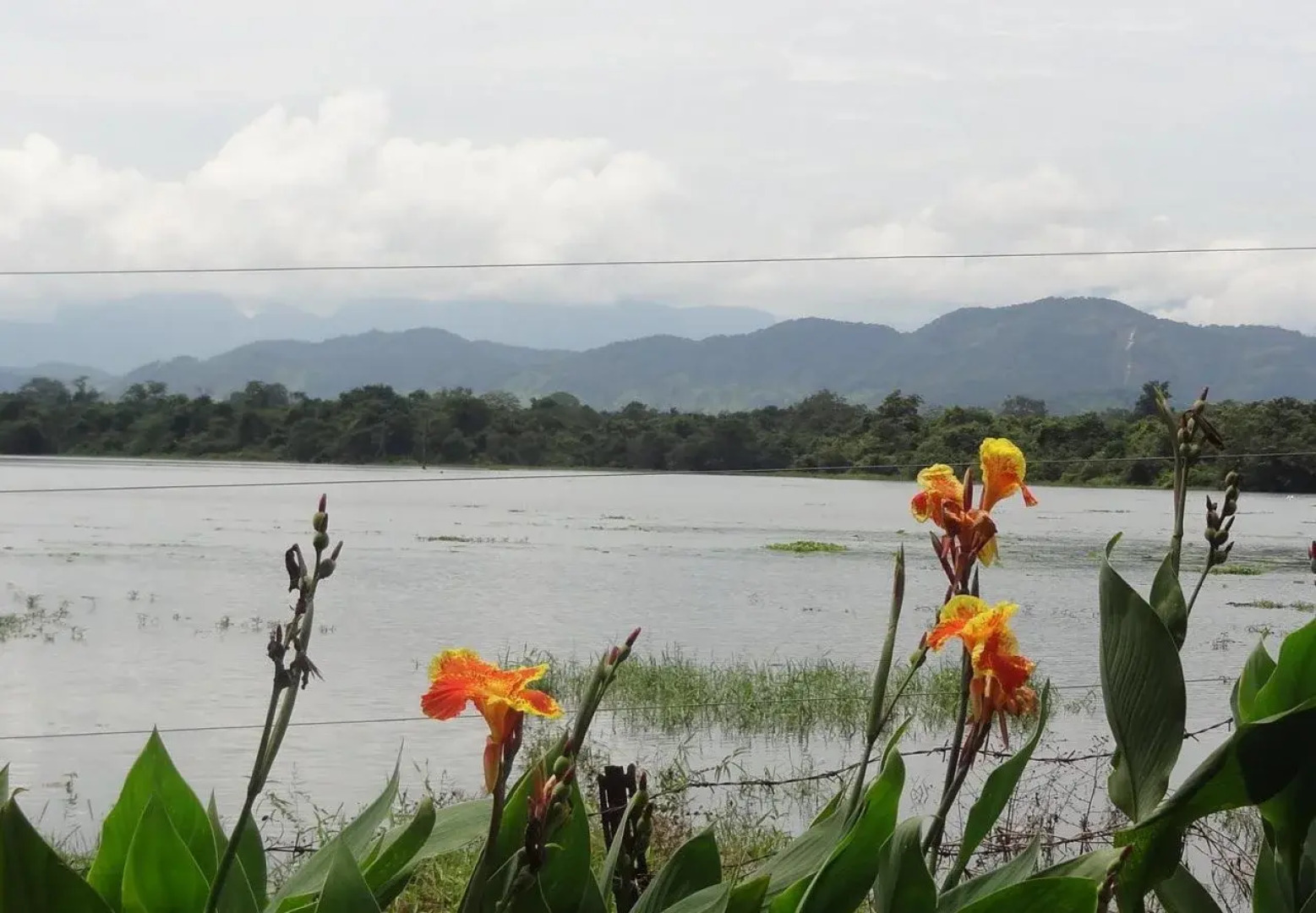 Safari Village Hotel