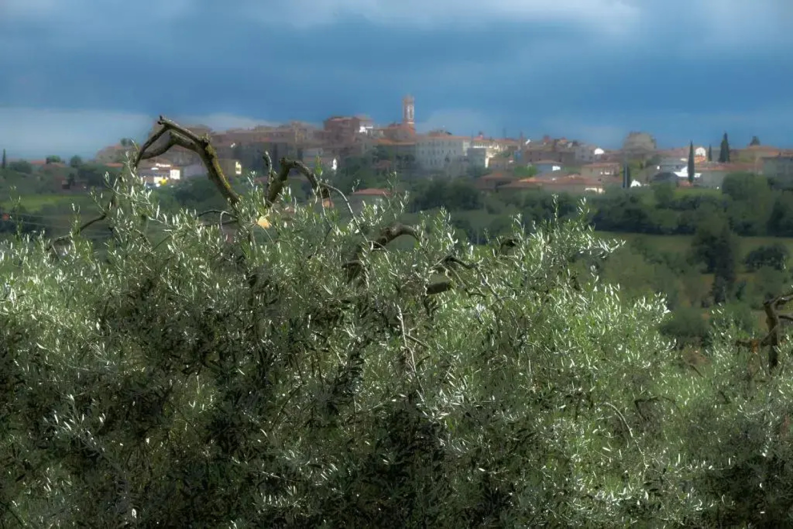 Casa vacanze Fatucchi