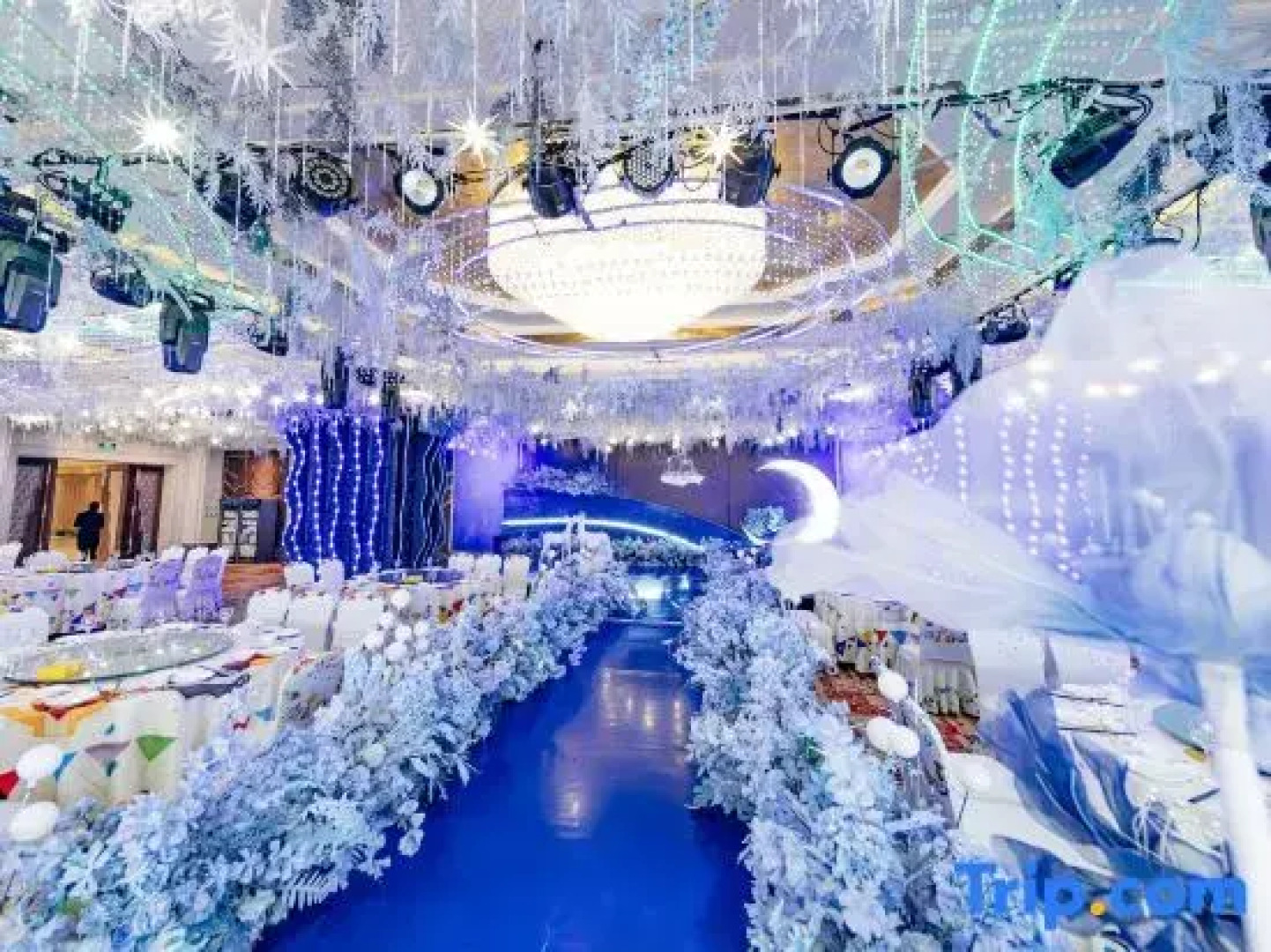 Galactic Garden International Hotel