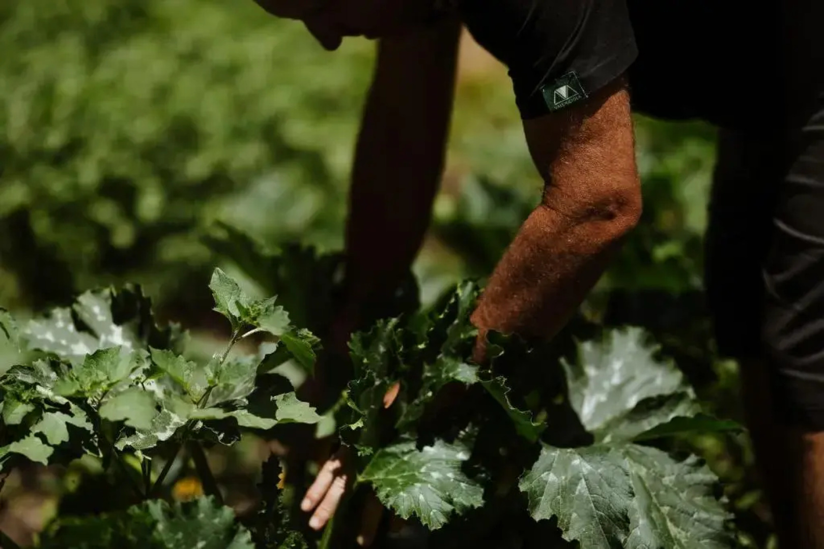 Vallicciola Nature Hotel