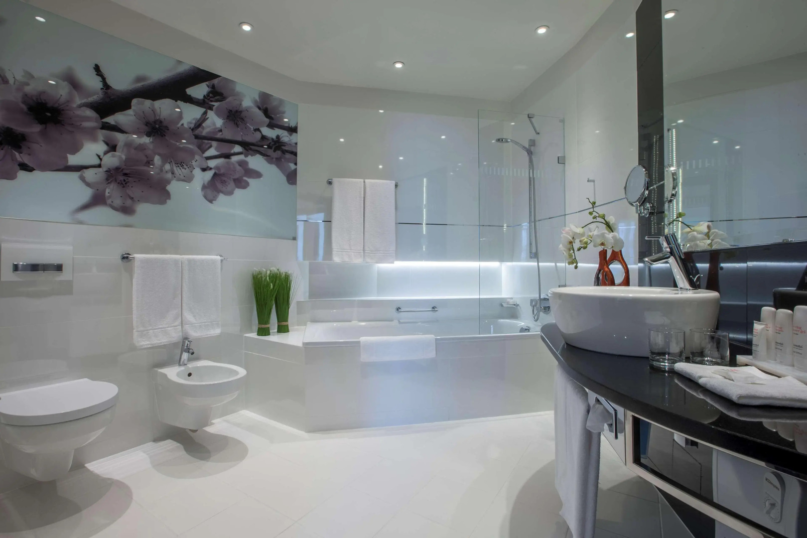 Отель Radisson Blu Sobieski