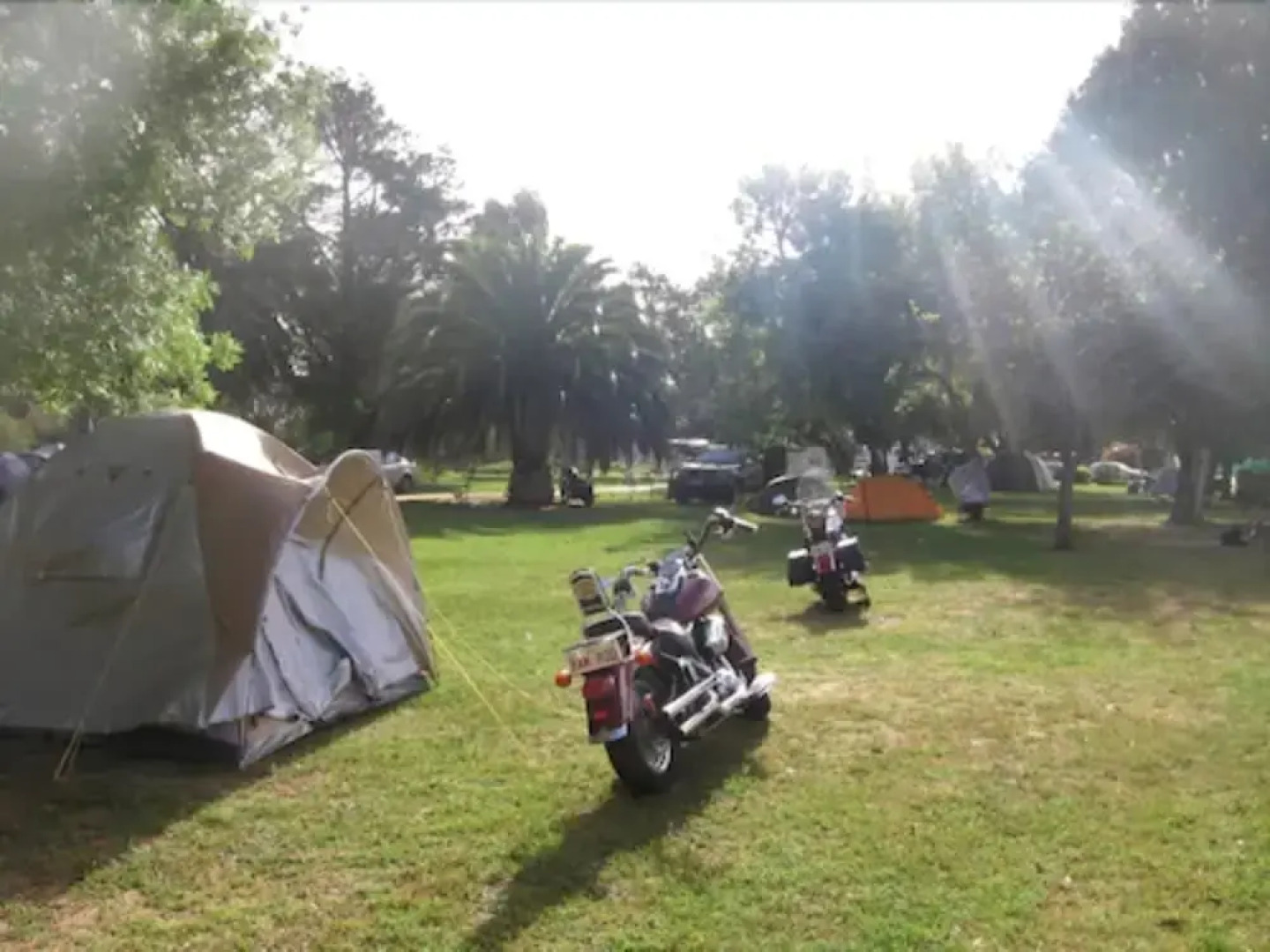 Barossa Tourist Park