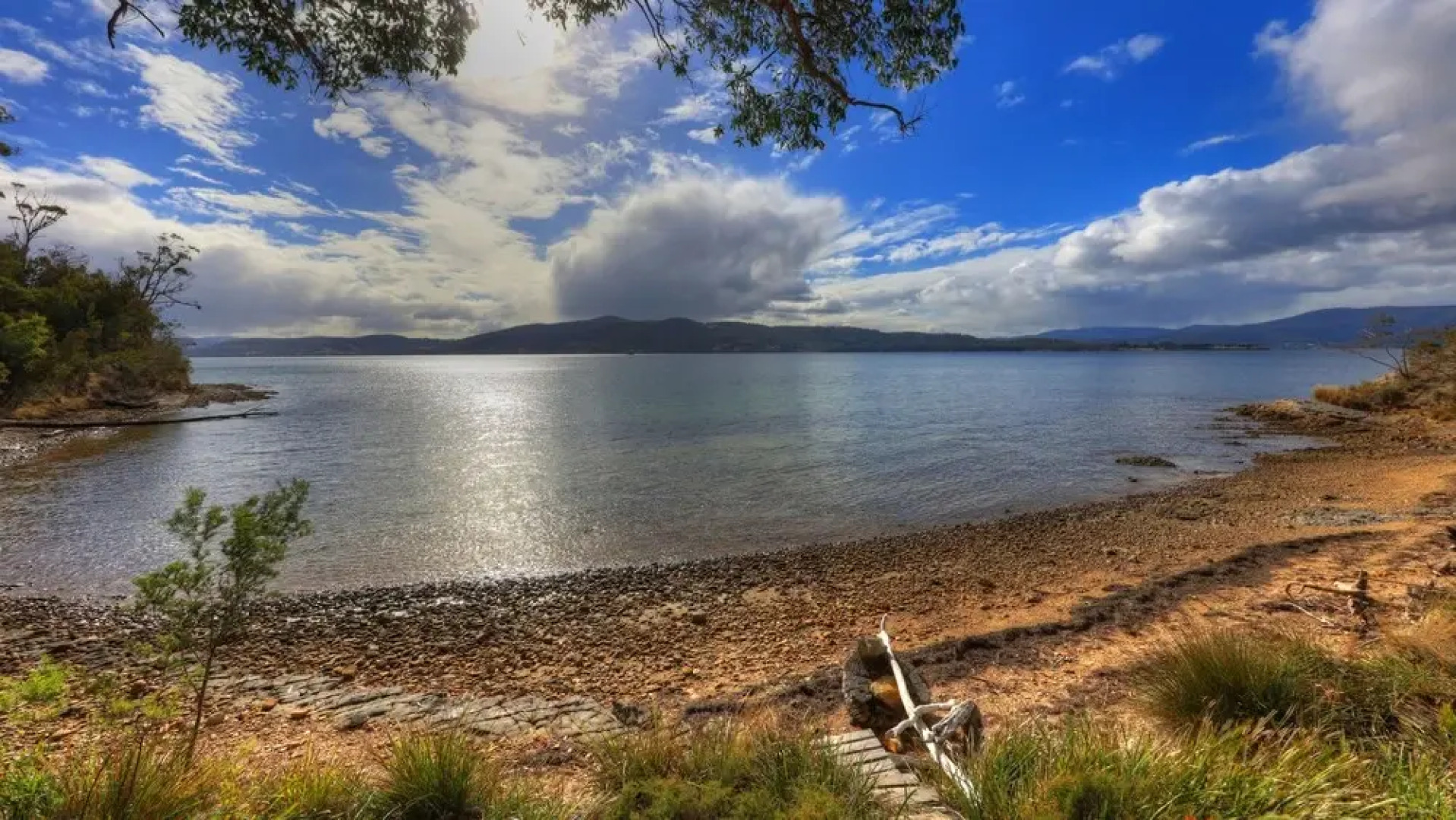 Essentially Tas Brooks Bay