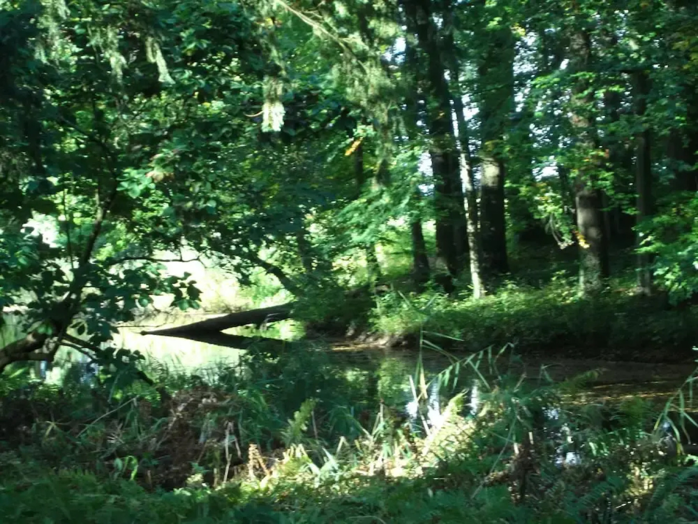 B&B Landgoed Matanze