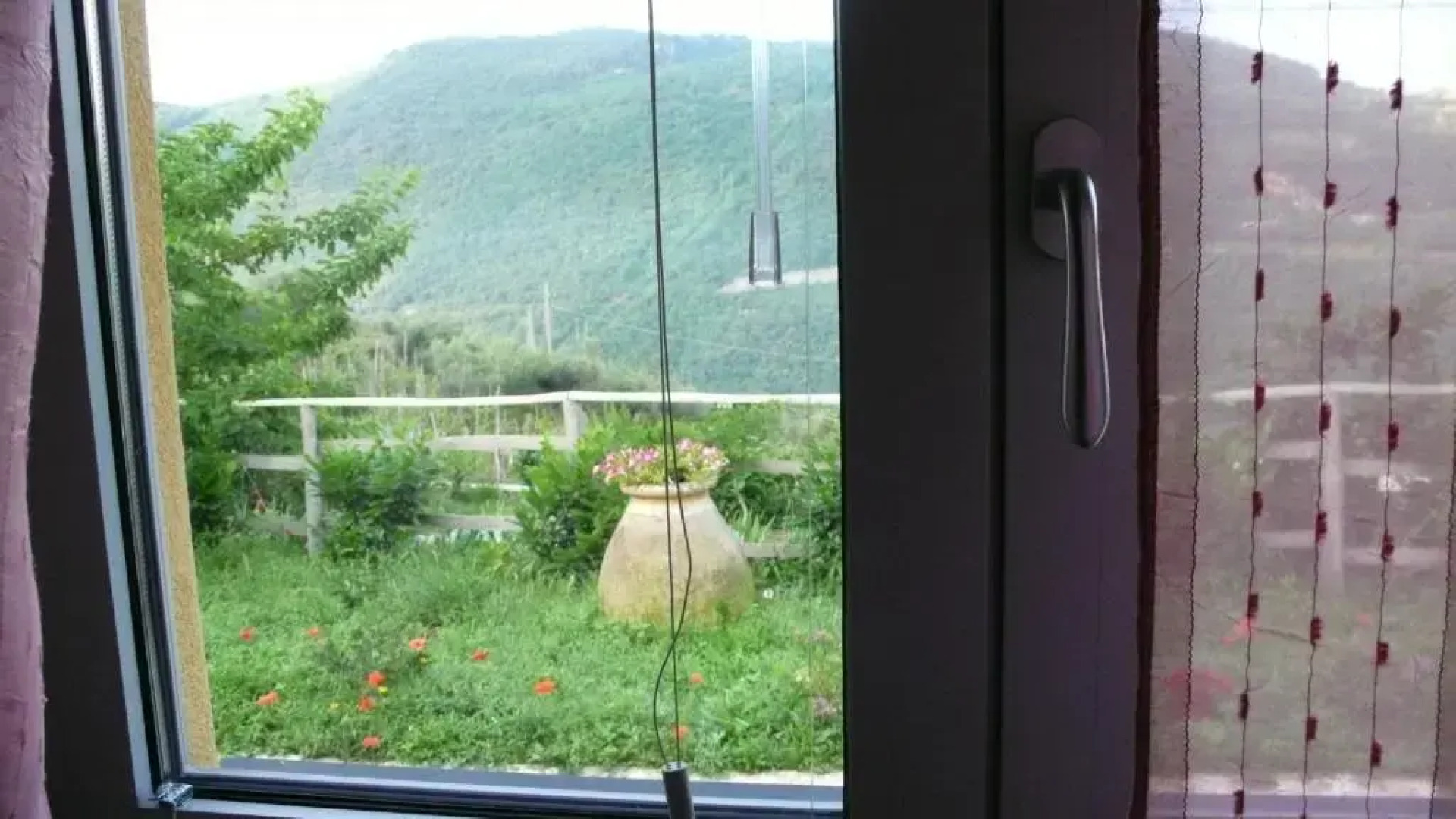 Il Pernambucco della Contessa