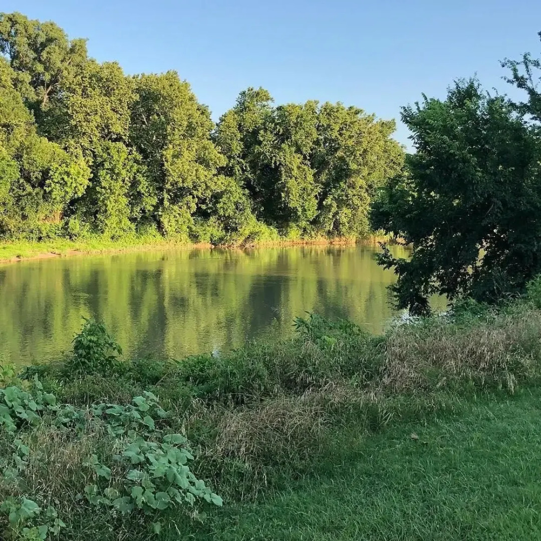 Beautiful Scenery, Towering Pines, Rolling Hills, and the Colorado River
