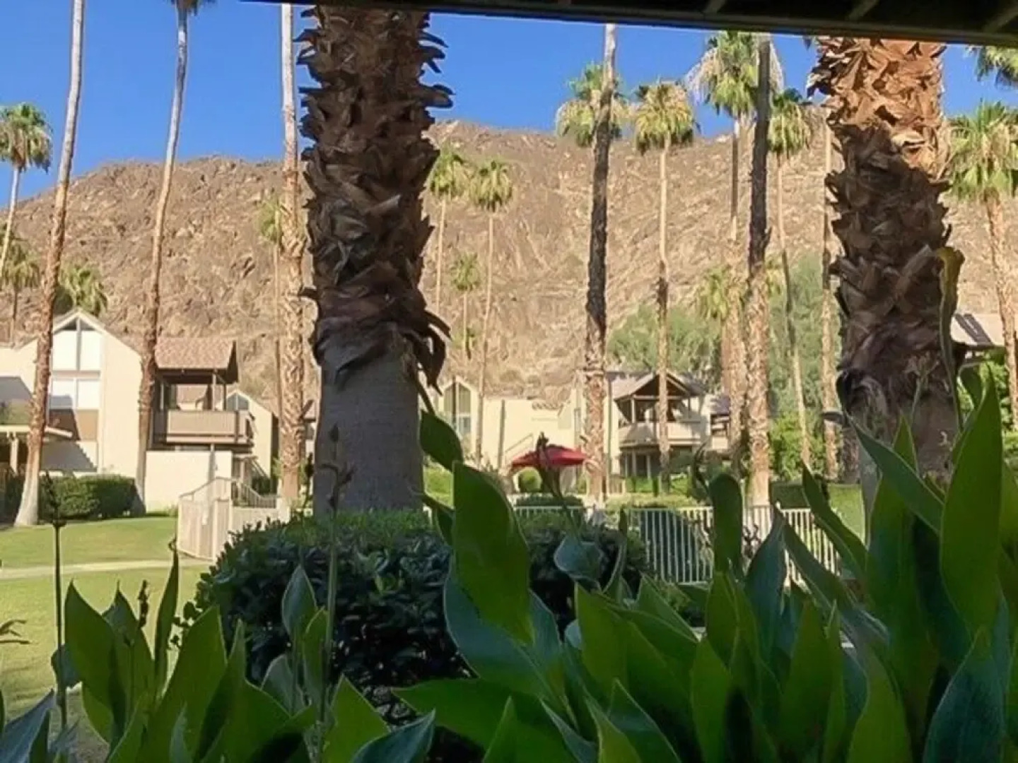 78155c37 1 Bedroom Condo