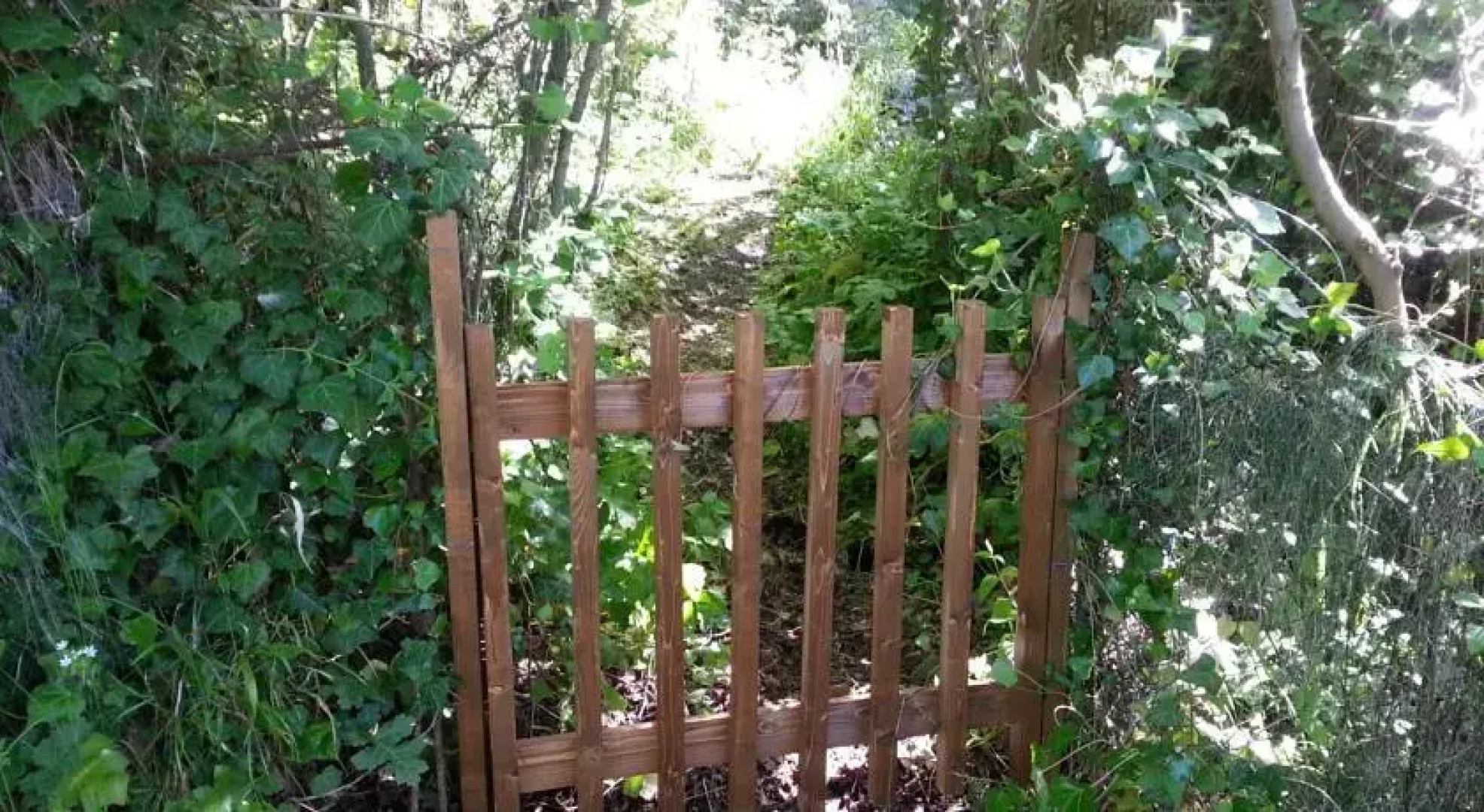 La Sorgente delle Madonie