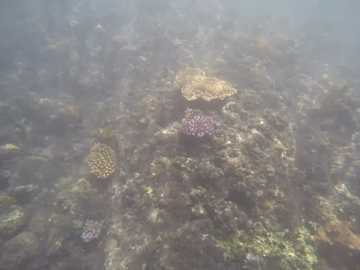 Bali North Beach Villa