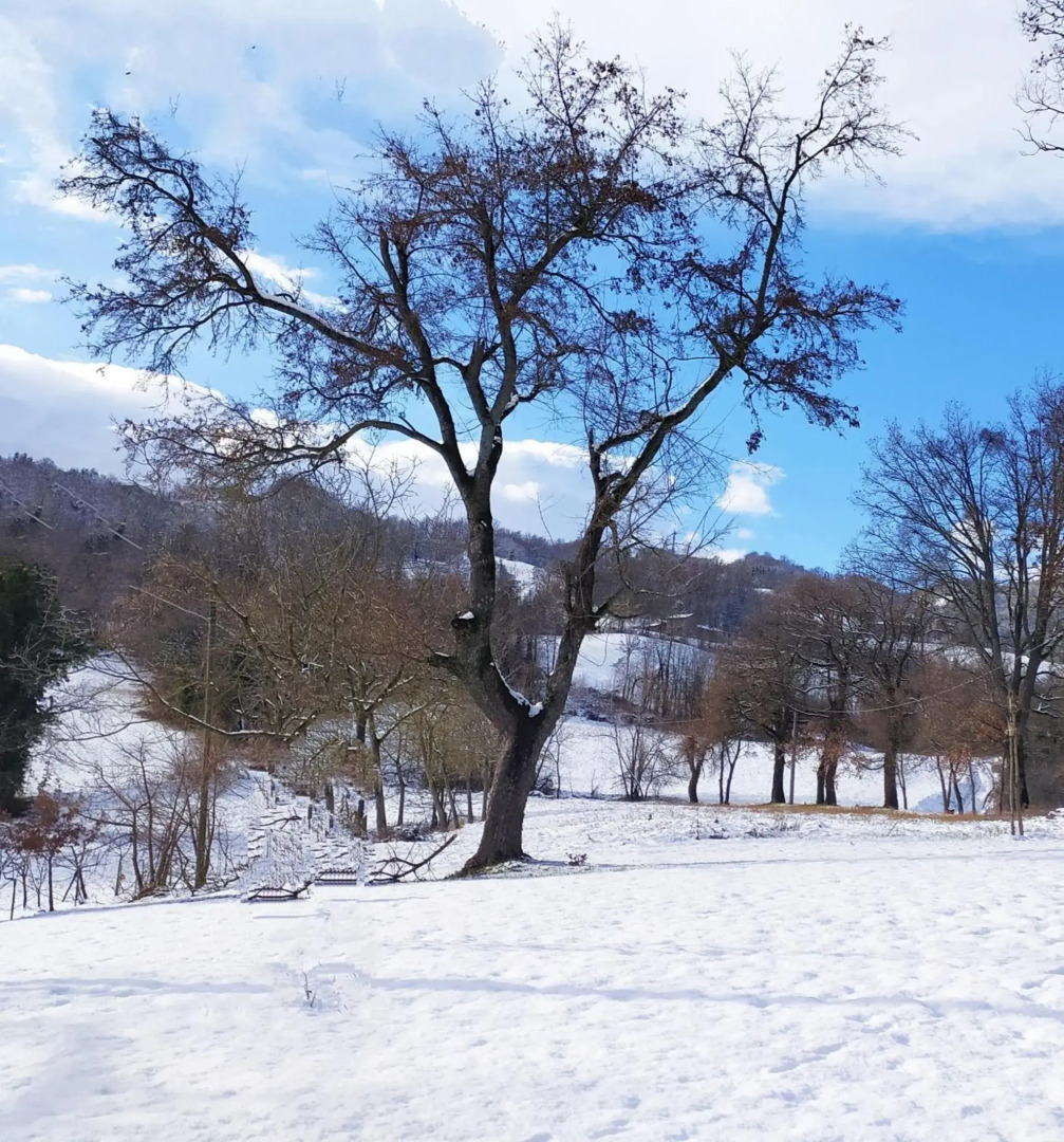 Un posto speciale. La Quagnola
