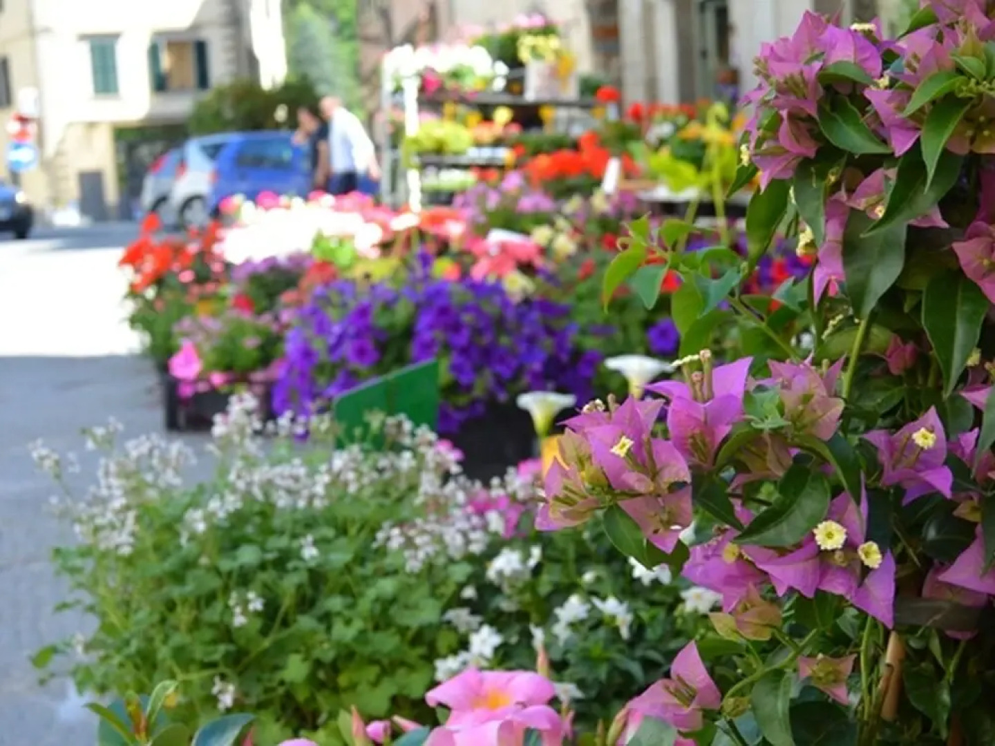 Sunny Holiday Home in Marradi Between Vicchio and Bologna