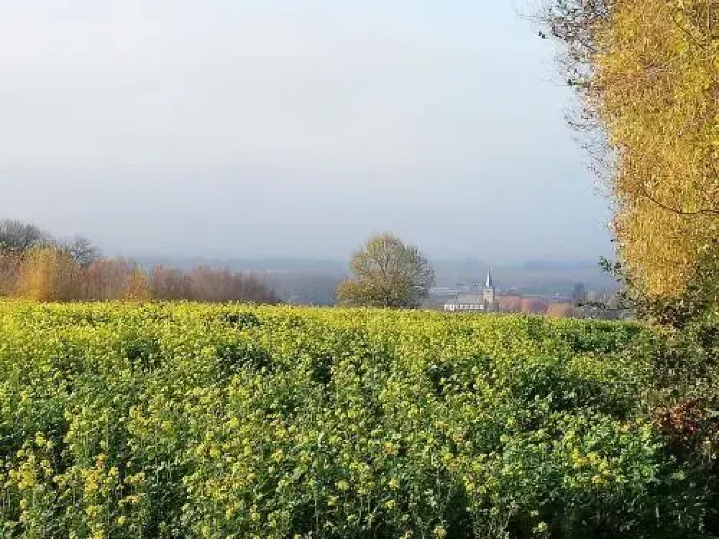 B&B 't Huys van Enaeme