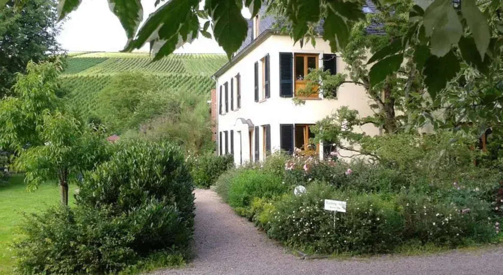 Weingut Schmitz-Simon