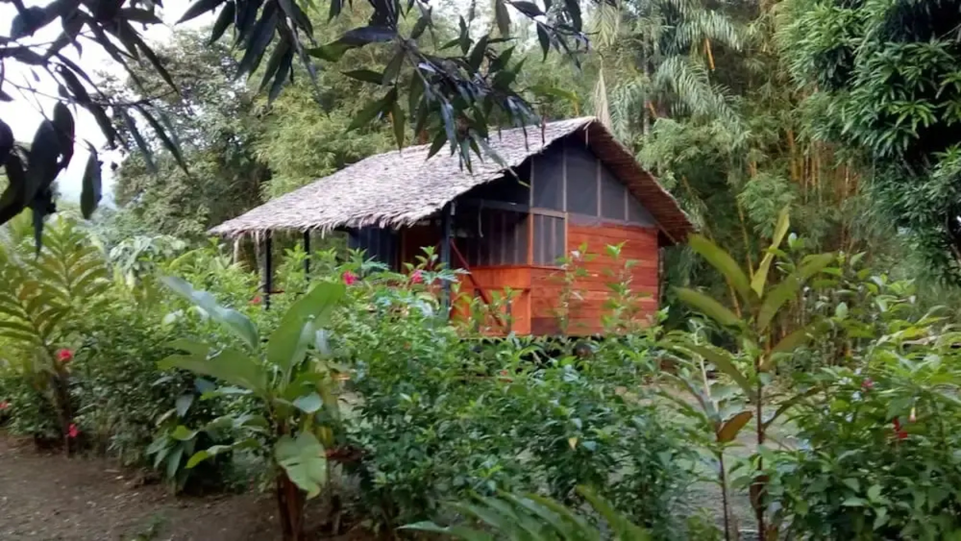 Rio Mar Bahía Solano Choco Colombia