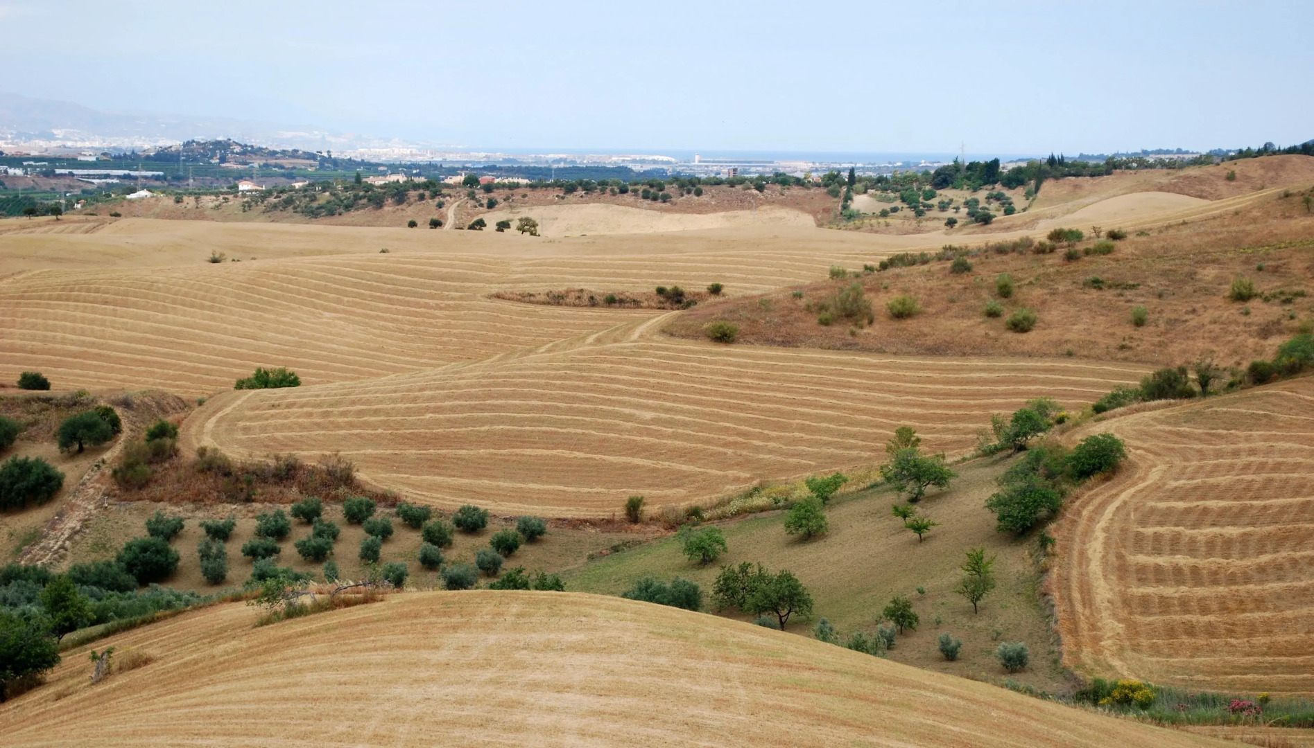 B&B Finca de los Sueños