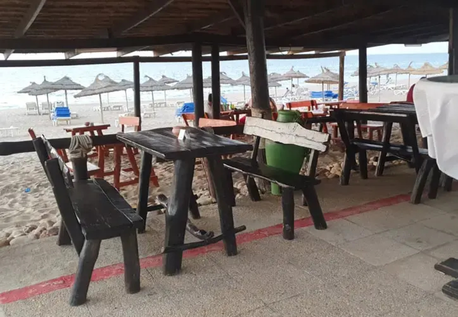 Golden Yasmin Mehari Tabarka