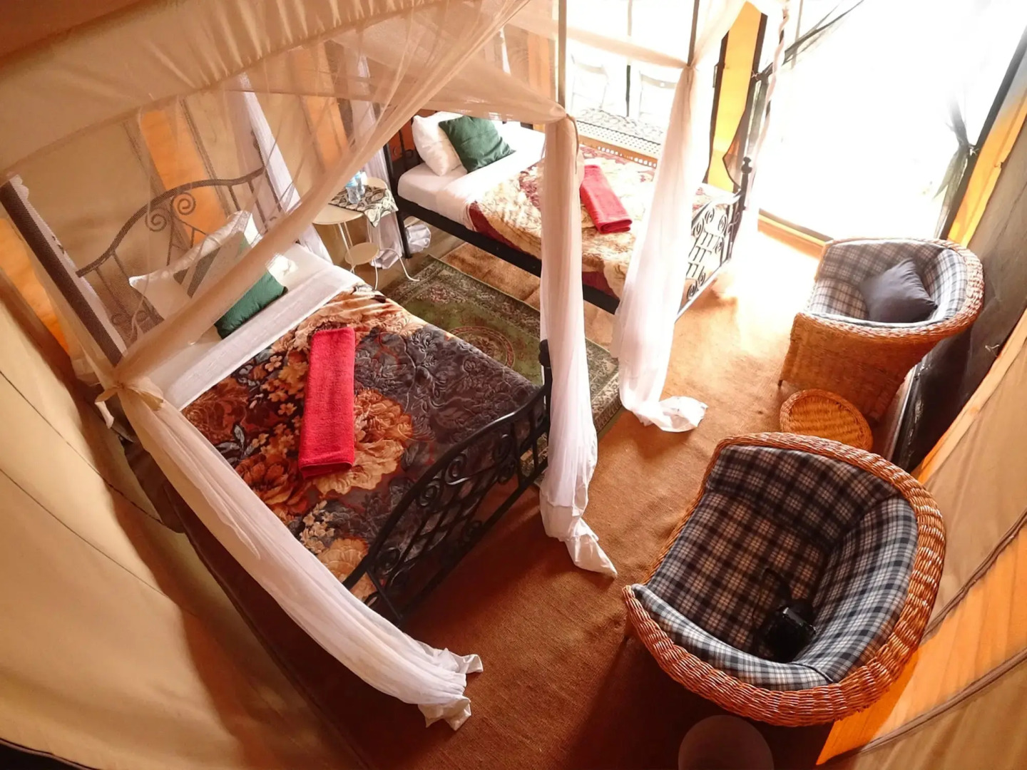 Serengeti Wildebeest Camp