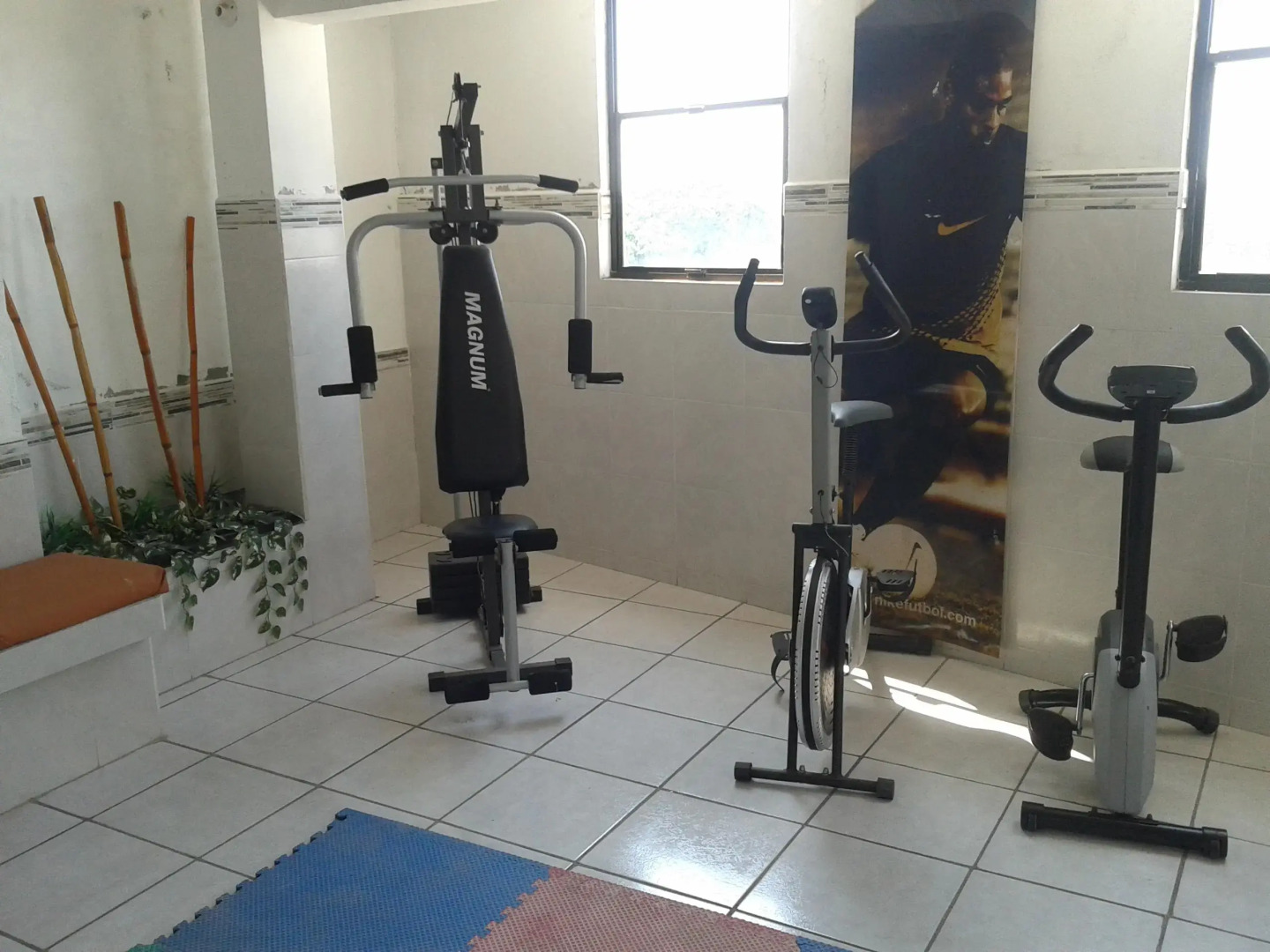 Hotel Terranova Tampico