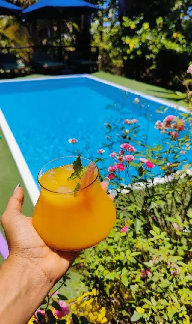 Bungalows Des Tropiques