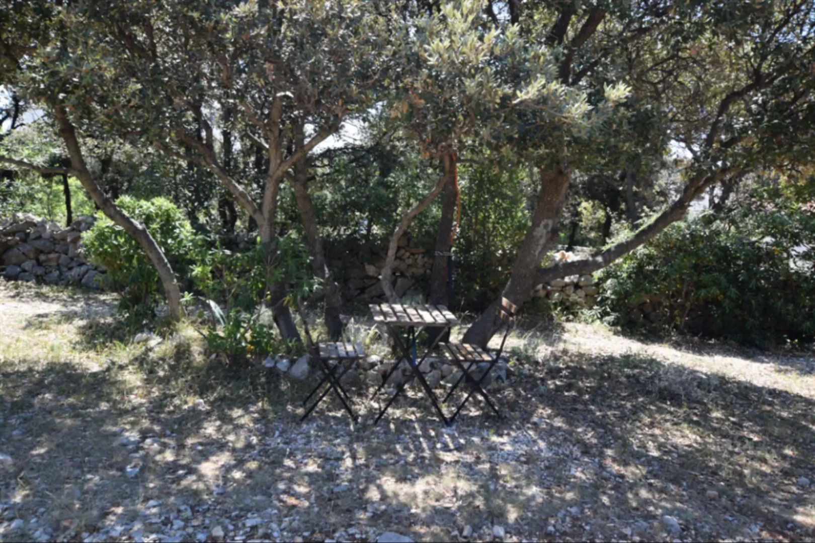 House Movica in Mandre