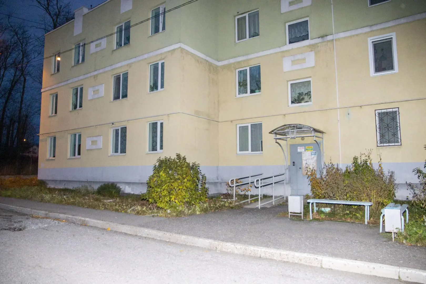 Барбарис на улице Льва Толстого