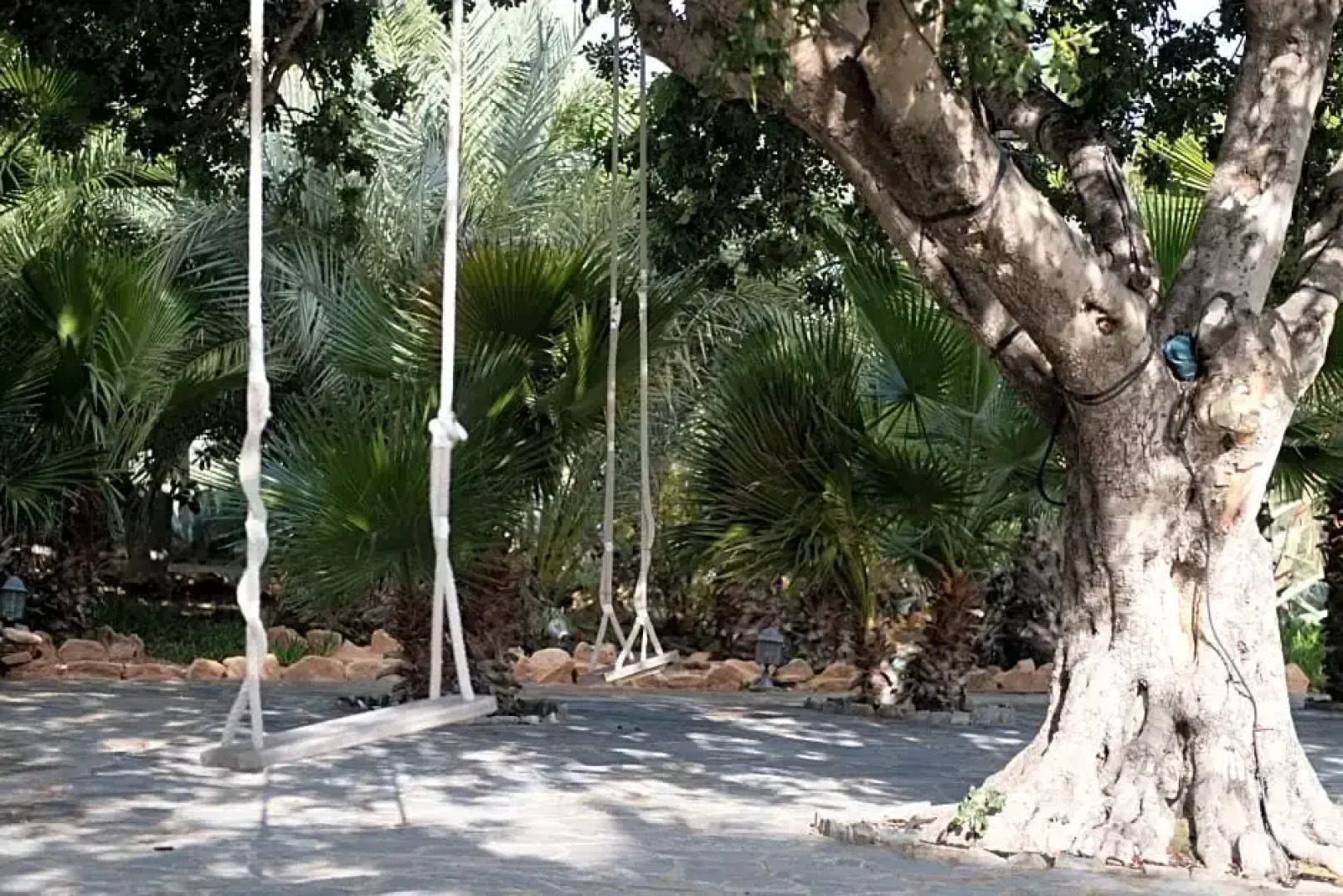 La Almendra y El Gitano