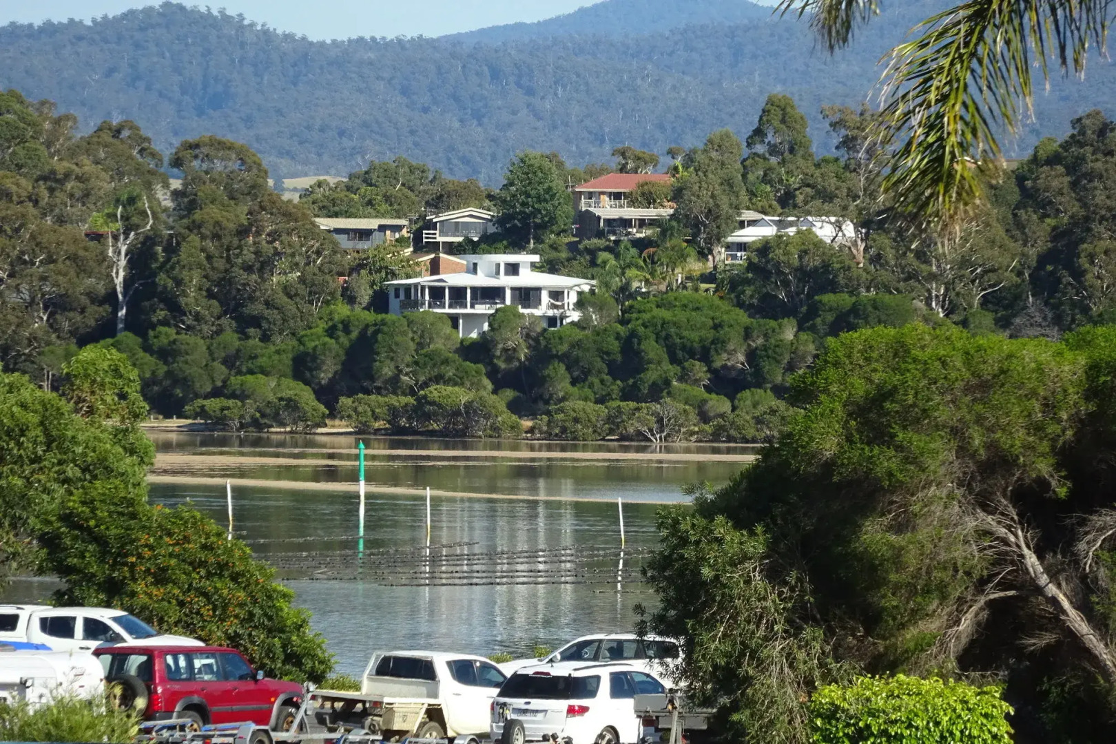 Black Dolphin Motel & Apartments