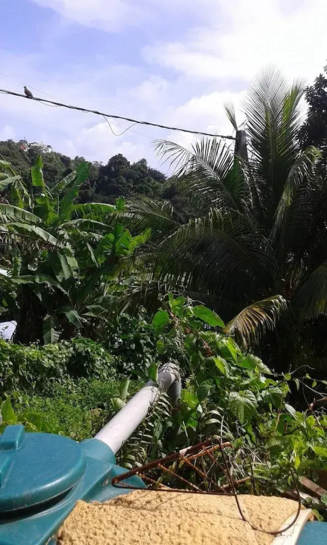 Apartment With one Bedroom in Le François, With Furnished Garden and W