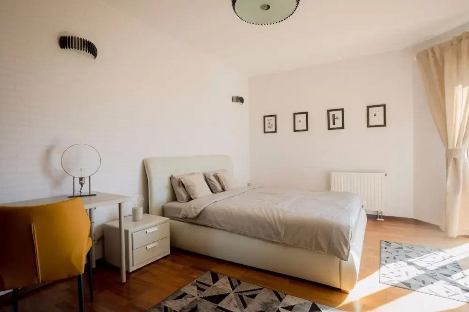 Wild Orchids of Bucharest