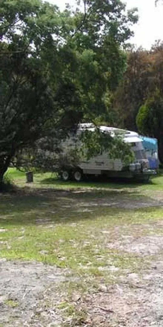 Scamander Tourist Park