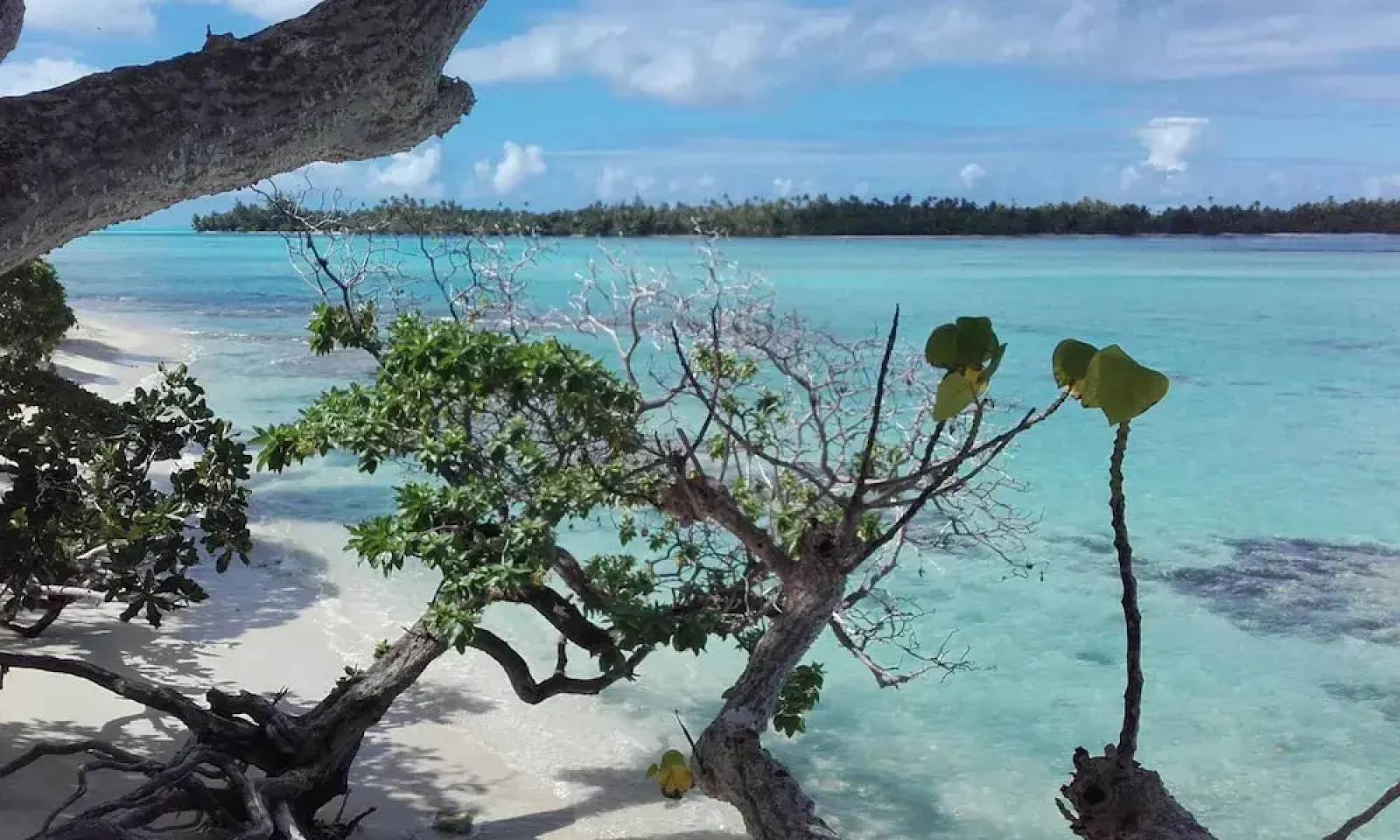 B&B Nature Song Island