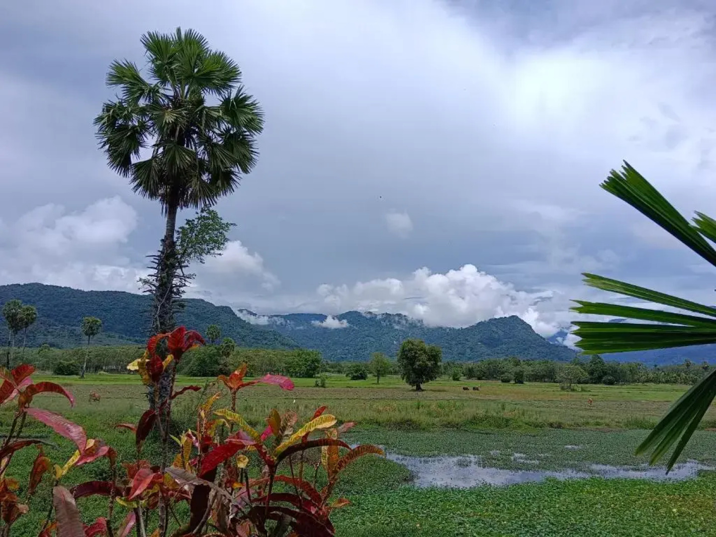 4 Seasons Mini House