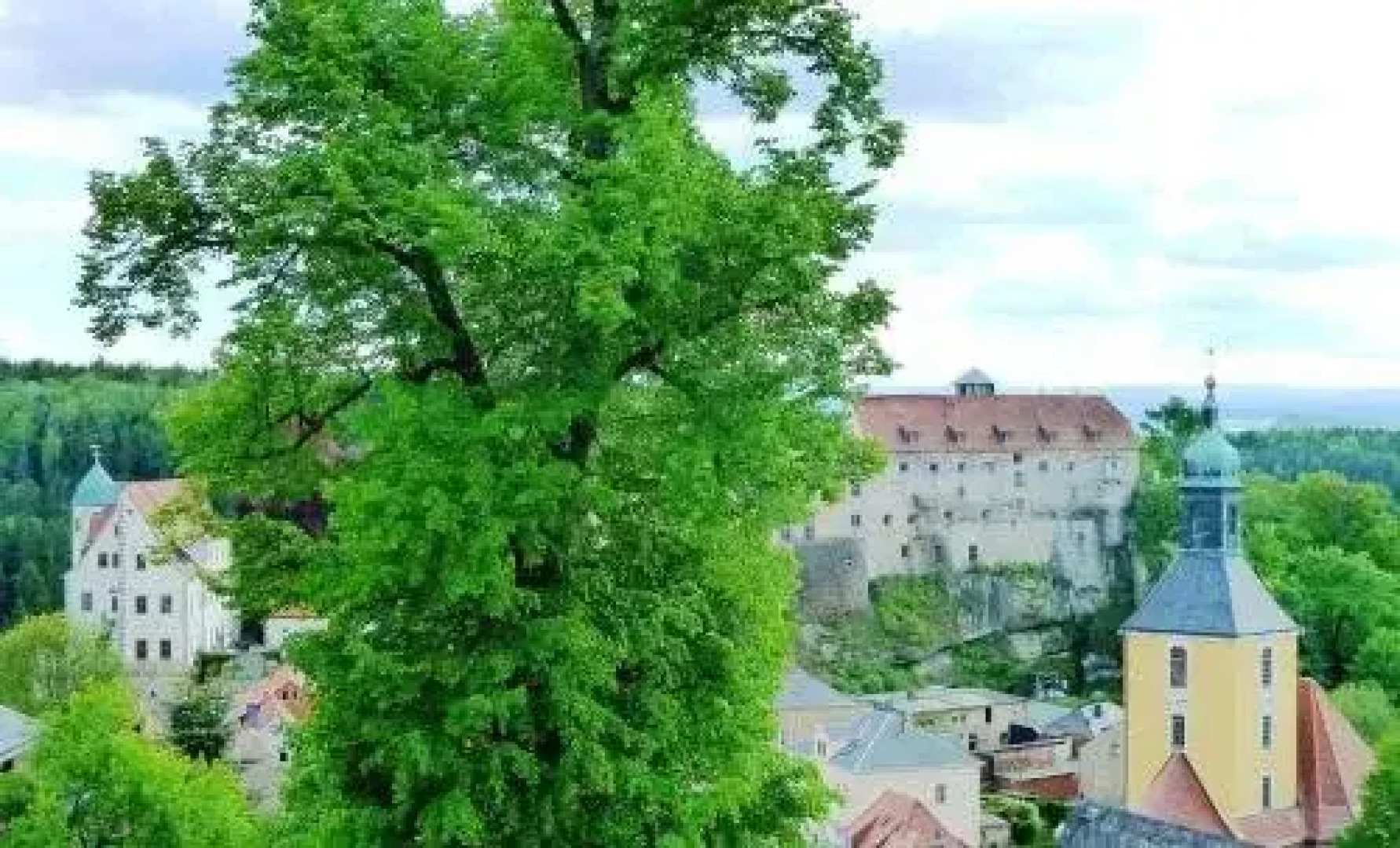 Meister BÄR HOTEL Sächsische Schweiz