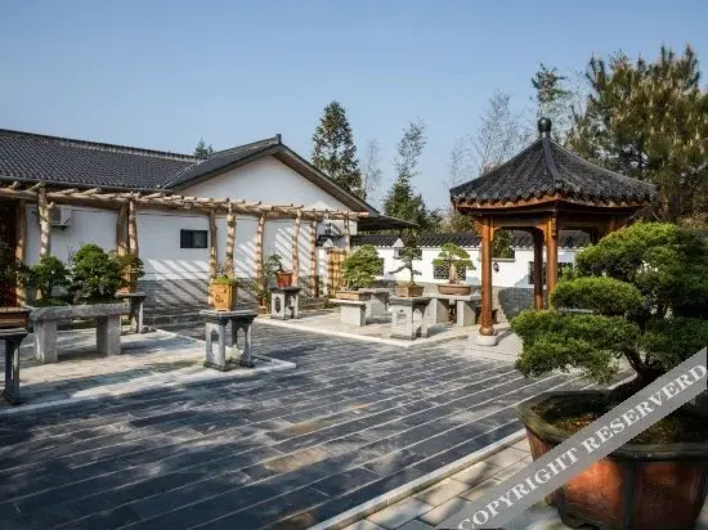 Qingya Xianju