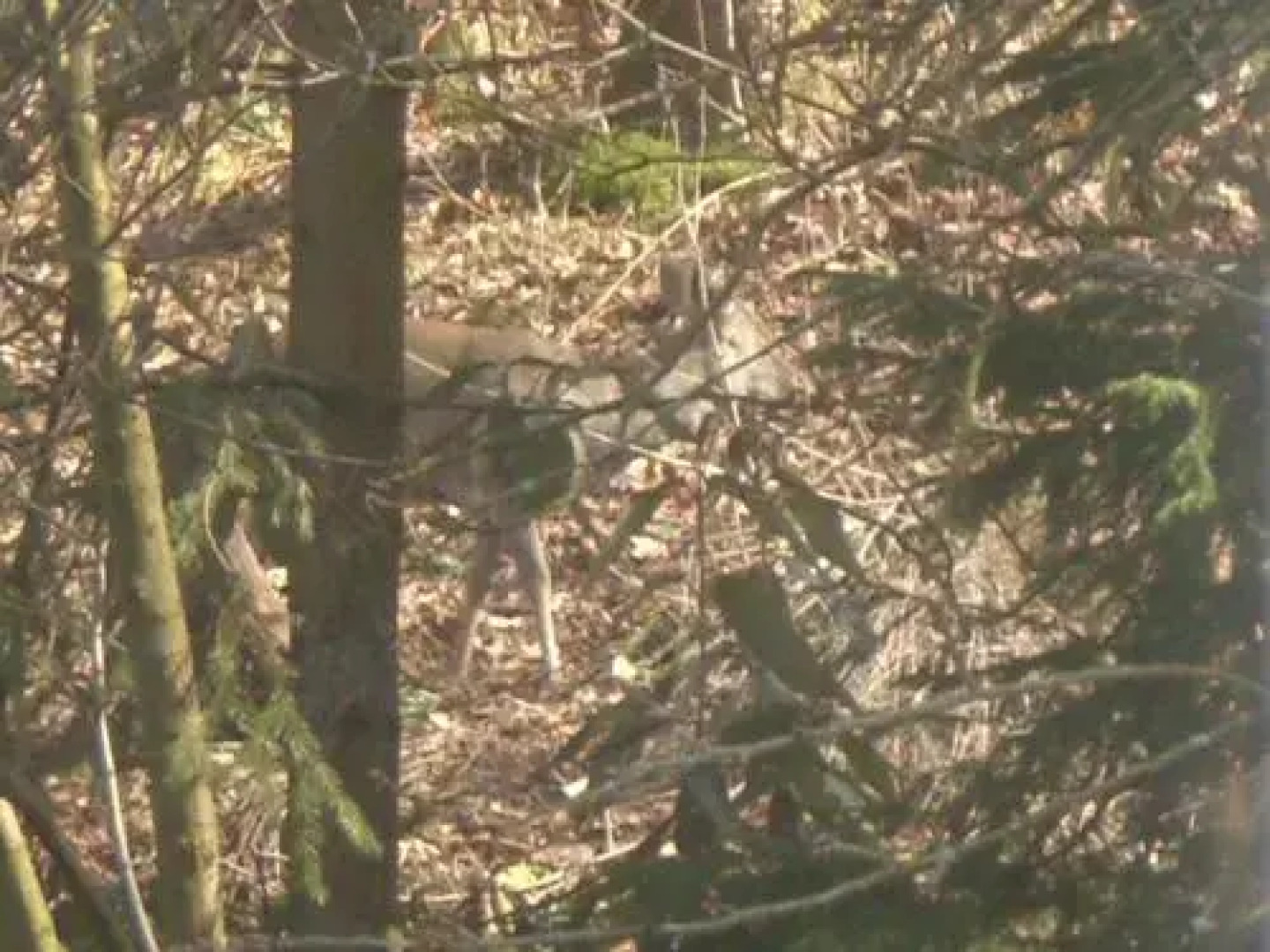 Ferien Apartment Panoramablick