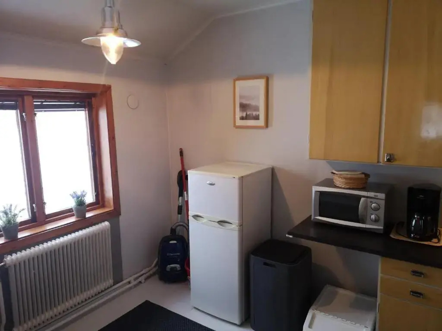 Tärnaby Rooms & Apartments