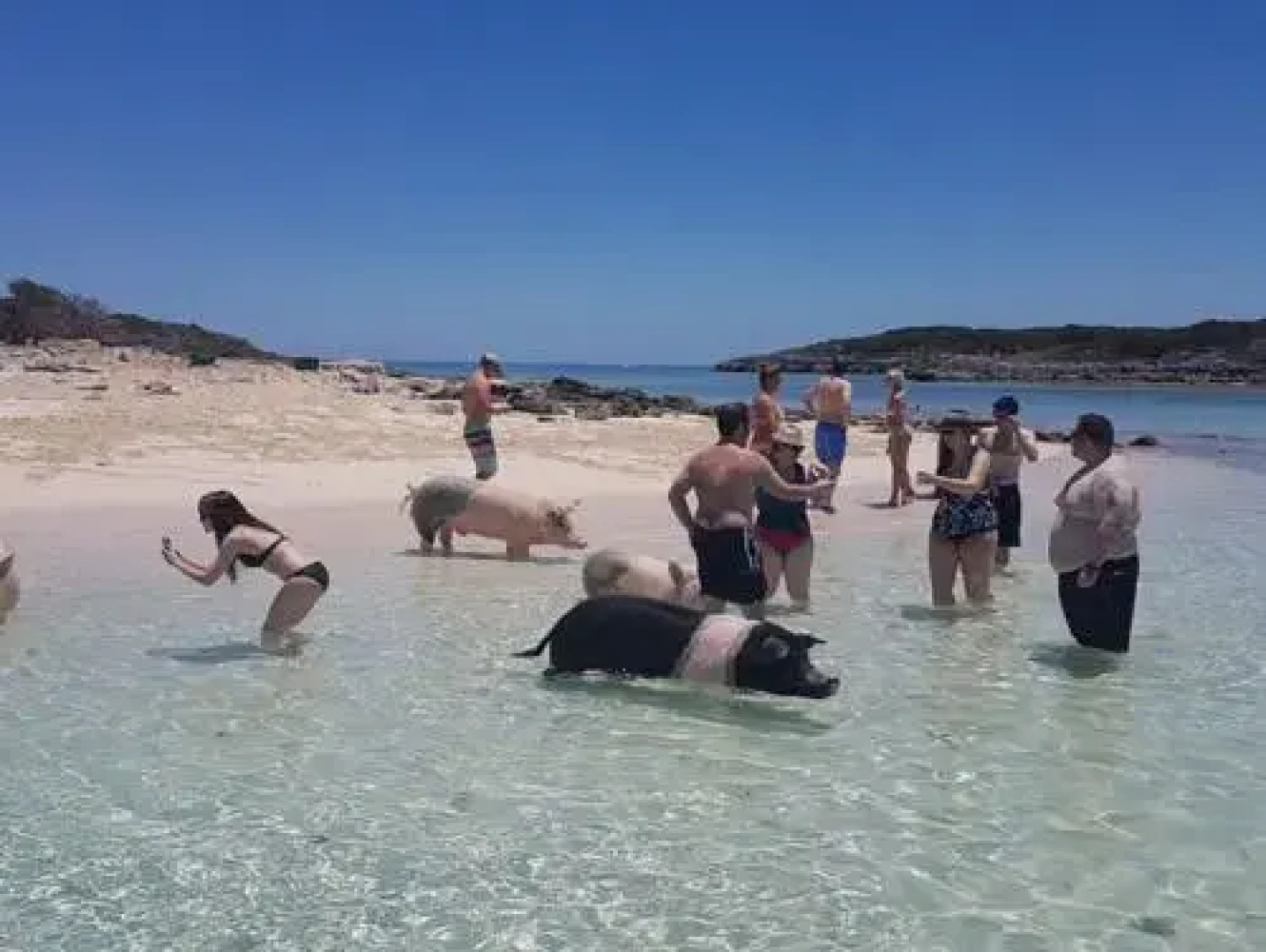 Mt Pleasant Suites Hotel