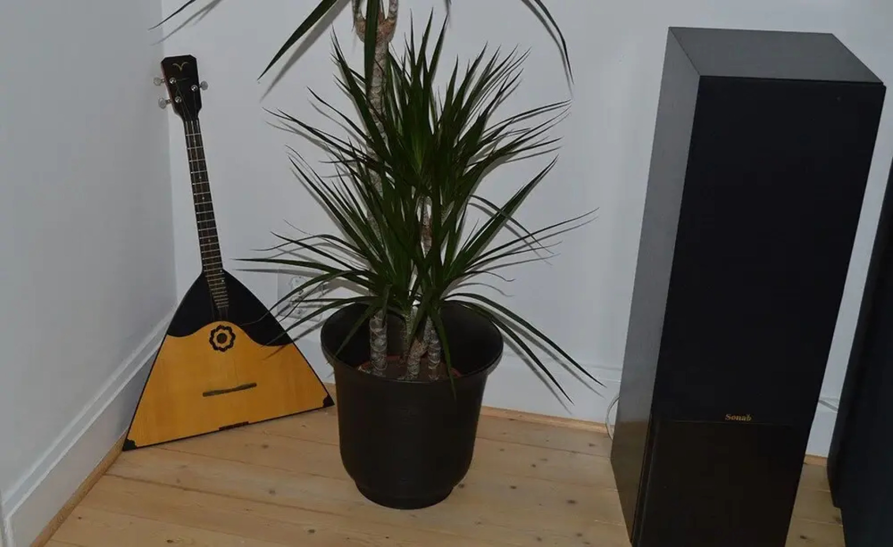 Minnesberg Bed & Breakfast