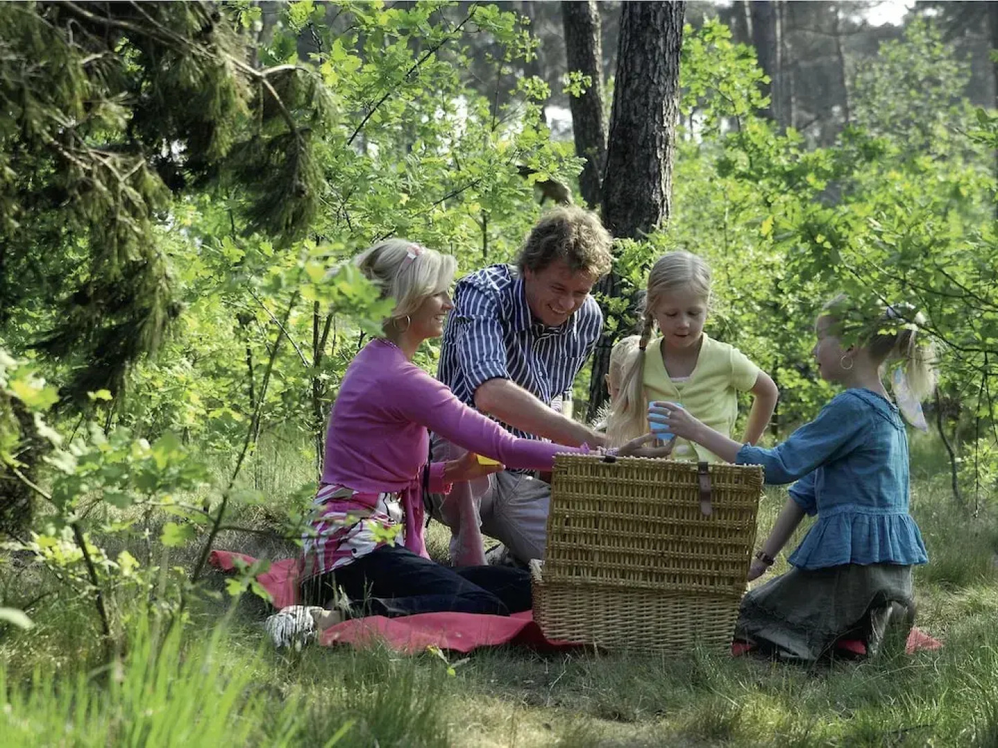 Restyled Bungalow with Dishwasher near Nature Reserve